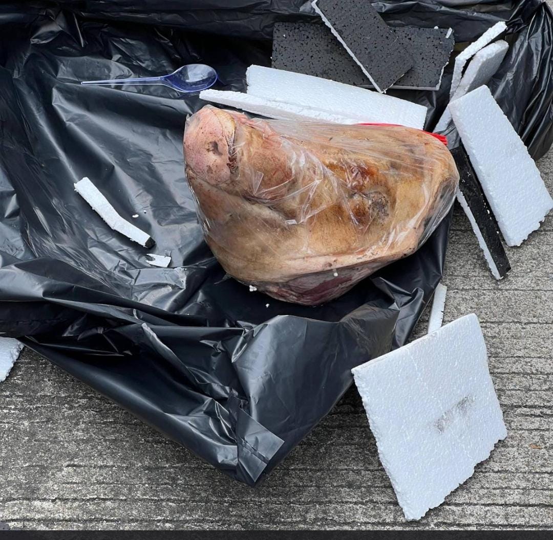 Kantor Tempo Dapat Kiriman Mencurigakan, Isinya Kepala Babi!