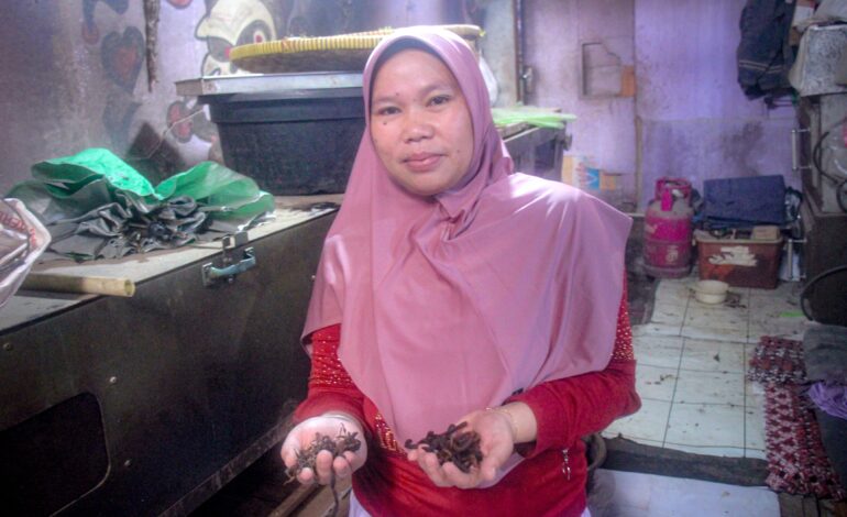 Kisah Sukses Lilis Suhartini: Raup Rp100 Juta Per Bulan dari Budidaya Cacing
