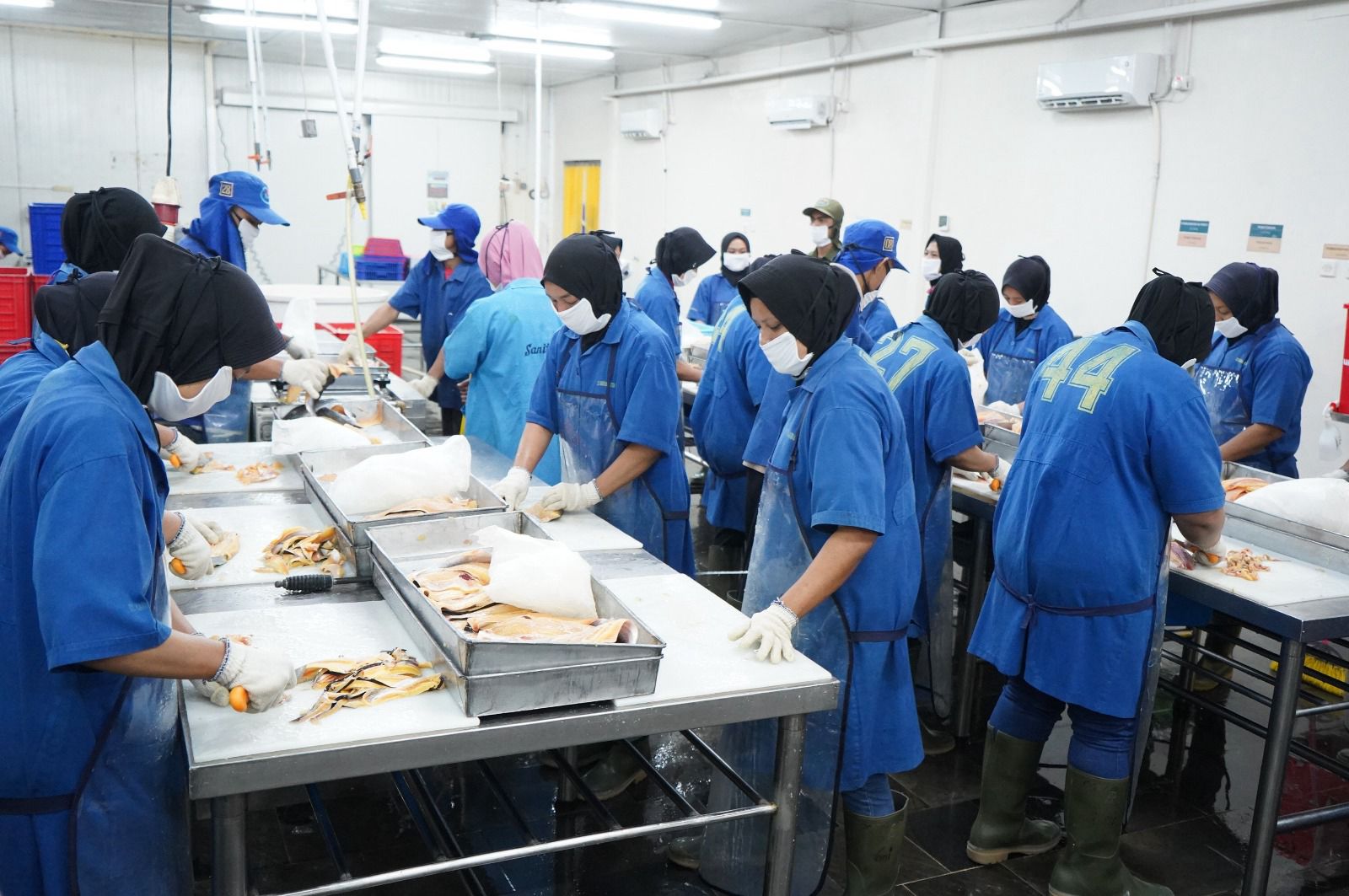 KKP Inisiasi Sinergi Pengembangan Kawasan Hilirisasi Hasil Kelautan dan Perikanan