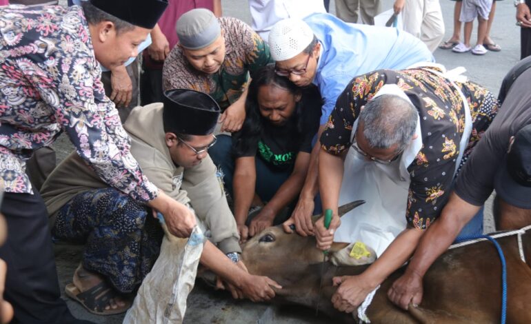 Rukun Kurban: 5 Hal Penting Biar Ibadah Kurban Kamu Sah dan Berkah