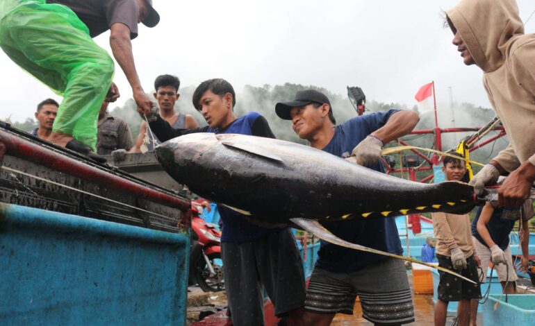 KKP Tegaskan PNBP SDA Perikanan Wujud Keadilan Usaha