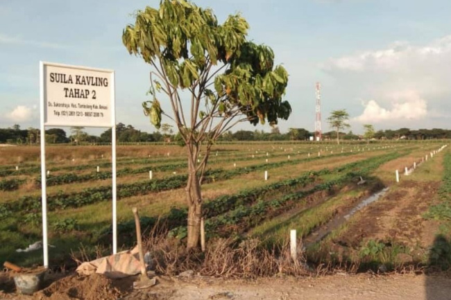 Suila Rohill Ditangkap Usai Video Korban Viral, Polisi Kepung Rumah Dini Hari