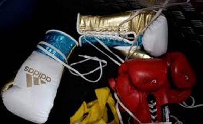 Skandal Boikot Tinju POPNAS 2025: Dugaan Nepotisme dan Desakan Audit Deputi 3 Kemenpora