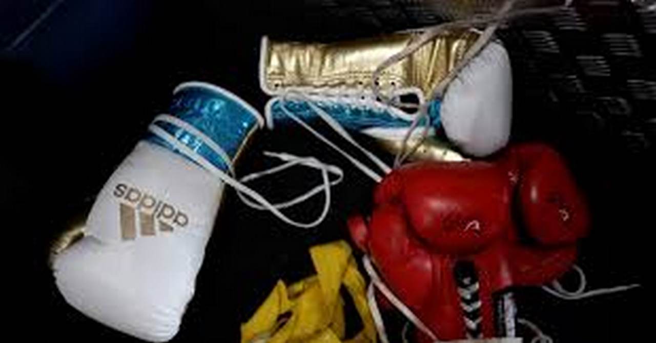 Skandal Boikot Tinju POPNAS 2025: Dugaan Nepotisme dan Desakan Audit Deputi 3 Kemenpora