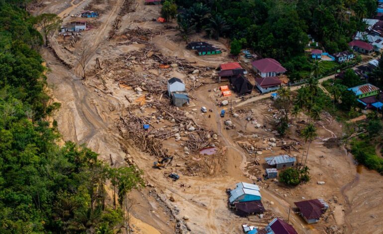 Greenpeace Soroti Pencabutan Izin 28 Perusahaan Usai Banjir Besar di Sumatera