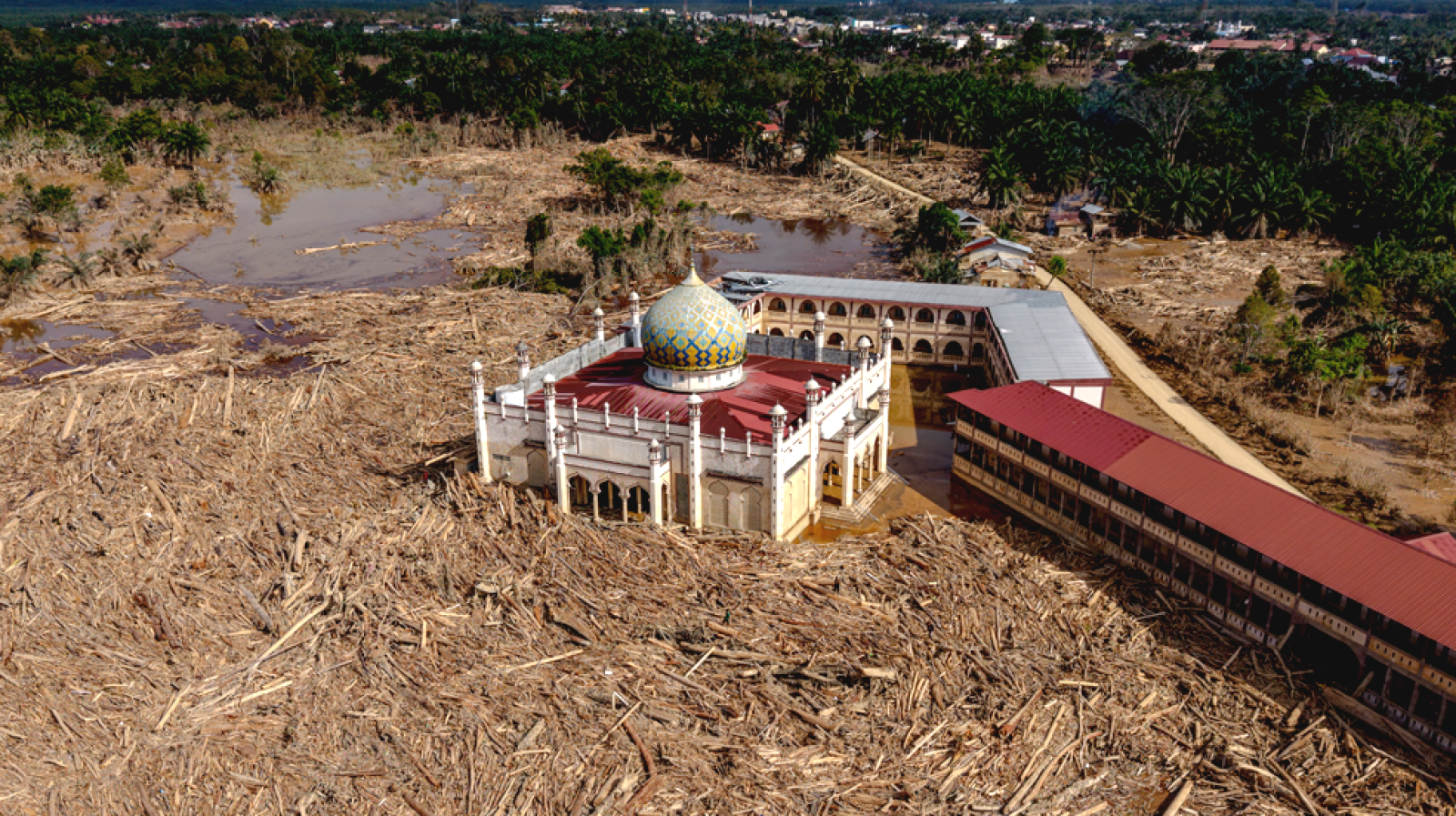 JATAM: Pencabutan Izin 28 Perusahaan di Sumatra Dinilai Sandiwara Politik dan Lindungi Penjahat Lingkungan